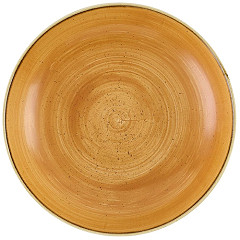  Churchill Stonecast Tangerine Coupe Bowl 248mm (12 St&uuml;ck) 