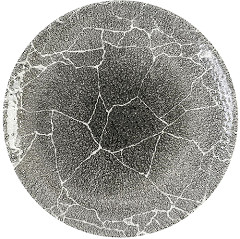  Churchill Studio Prints Kintsugi Quartz Black Coupe-Teller, 288 mm, (12 St&uuml;ck) 