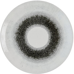  Churchill Studio Prints Fusion Black Evolve Coupe-Teller, 285 mm, (12 St&uuml;ck) 