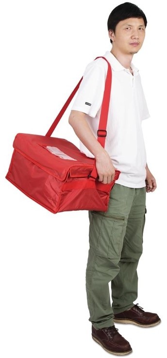  Vogue isolierte Liefertasche 