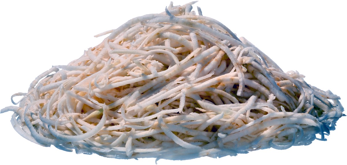  Bartscher Schneidscheibe f&uuml;r Raspel DT4 