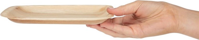  Fiesta Kompostierbare Palmblatt-Teller Quadratisch 200mm (100 St&uuml;ck) 