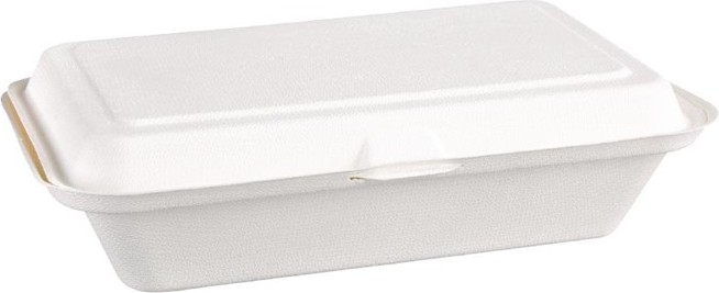  Fiesta Green kompostierbare Zuckerrohr Klappdeckelbeh&auml;lter 24,8cm 