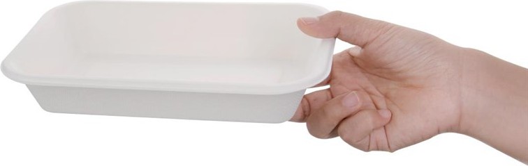  Fiesta Green kompostierbare Men&uuml;schalen aus Bagasse 68cl (50 St&uuml;ck) 