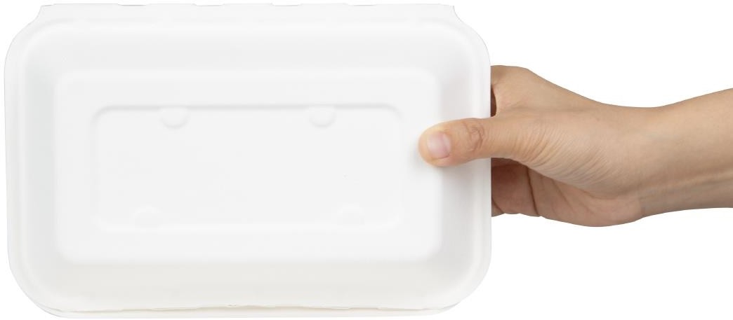  Fiesta Recyclable Fiesta Kompostierbare Bagasse Lebensmittelbeh&auml;lter 9x6" (200 St&uuml;ck) 