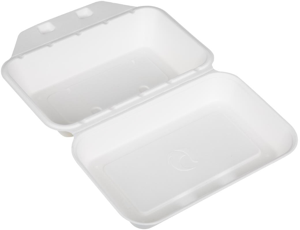  Fiesta Recyclable Fiesta Kompostierbare Bagasse Lebensmittelbeh&auml;lter 9x6" (200 St&uuml;ck) 
