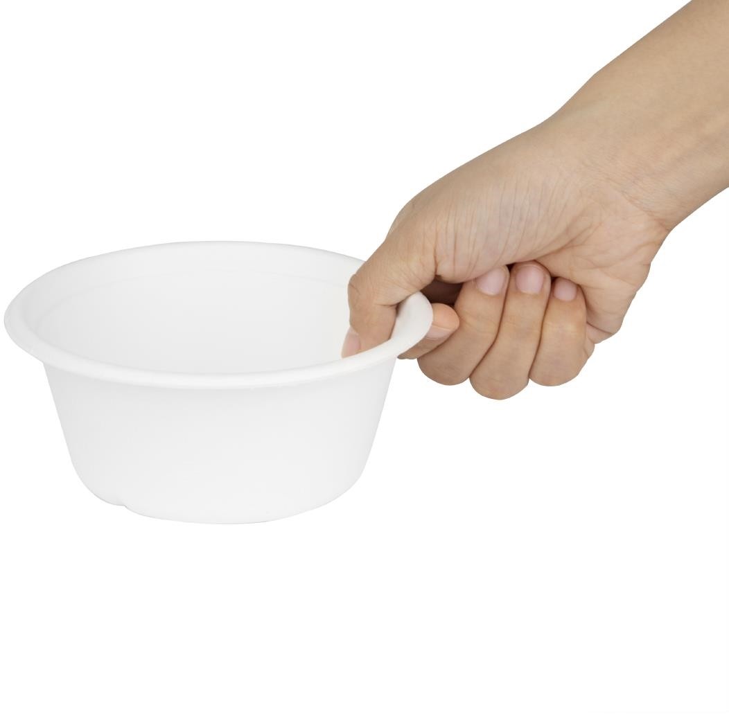  Fiesta Recyclable Fiesta Kompostierbare Bagasse Sch&uuml;ssel Basis 400ml (50 St&uuml;ck) 