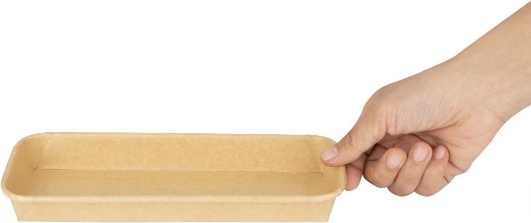  Fiesta Recyclable Nr. 2 Sushi-Schalen-B&ouml;den 220x90mm (300 St&uuml;ck) 