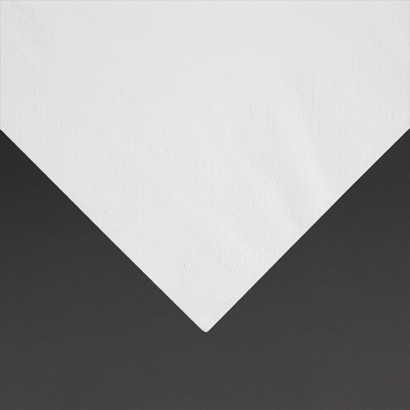  Fiesta Servietten wei&szlig; 30x30cm (5000 St&uuml;ck) 