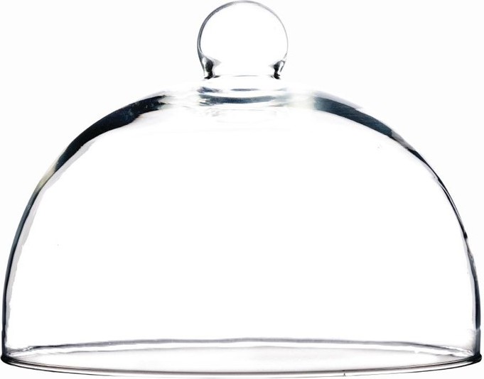  Gastronoble Speiseglocke aus Glas 21cm 