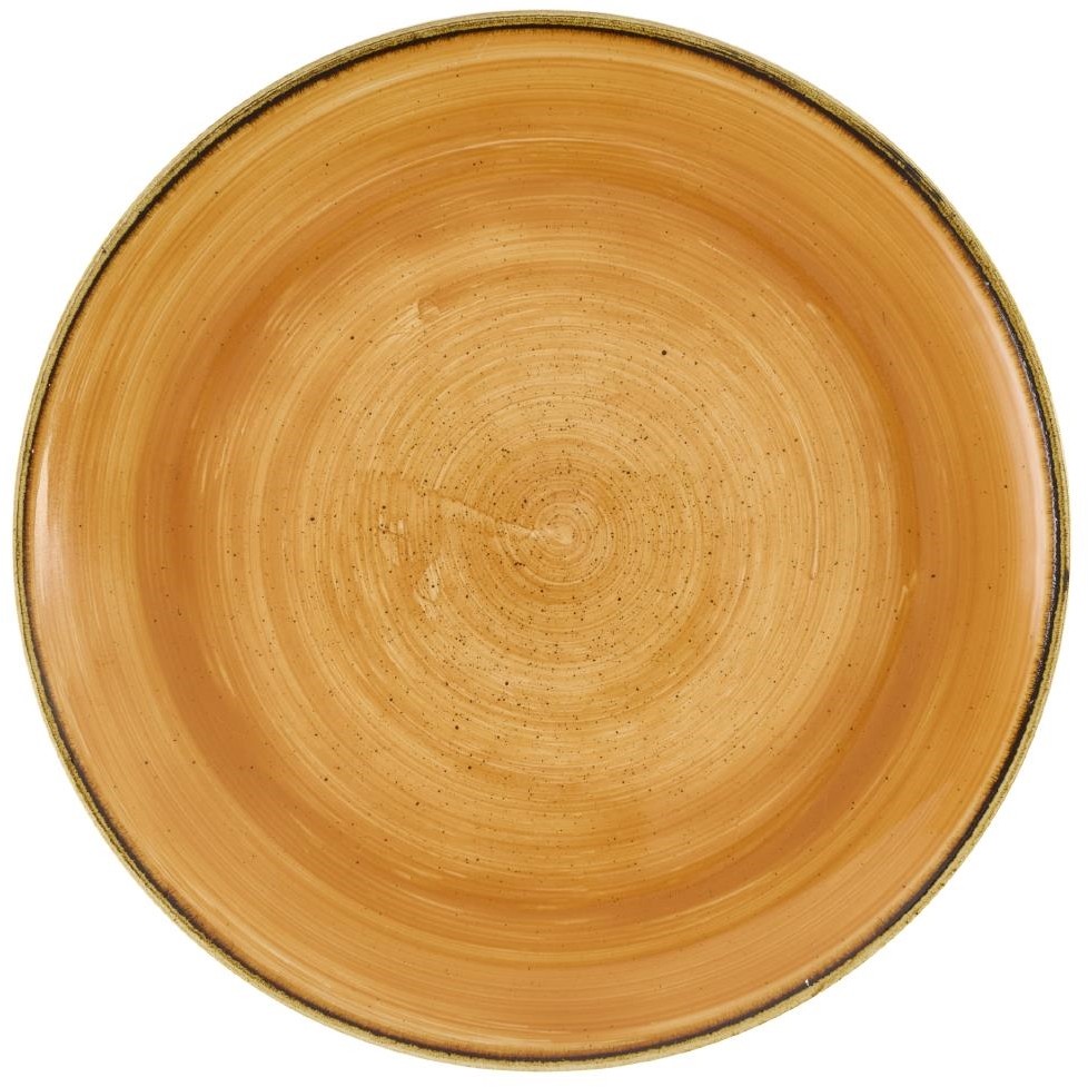  Churchill Stonecast Tangerine Coupe Teller 260mm (12 St&uuml;ck) 