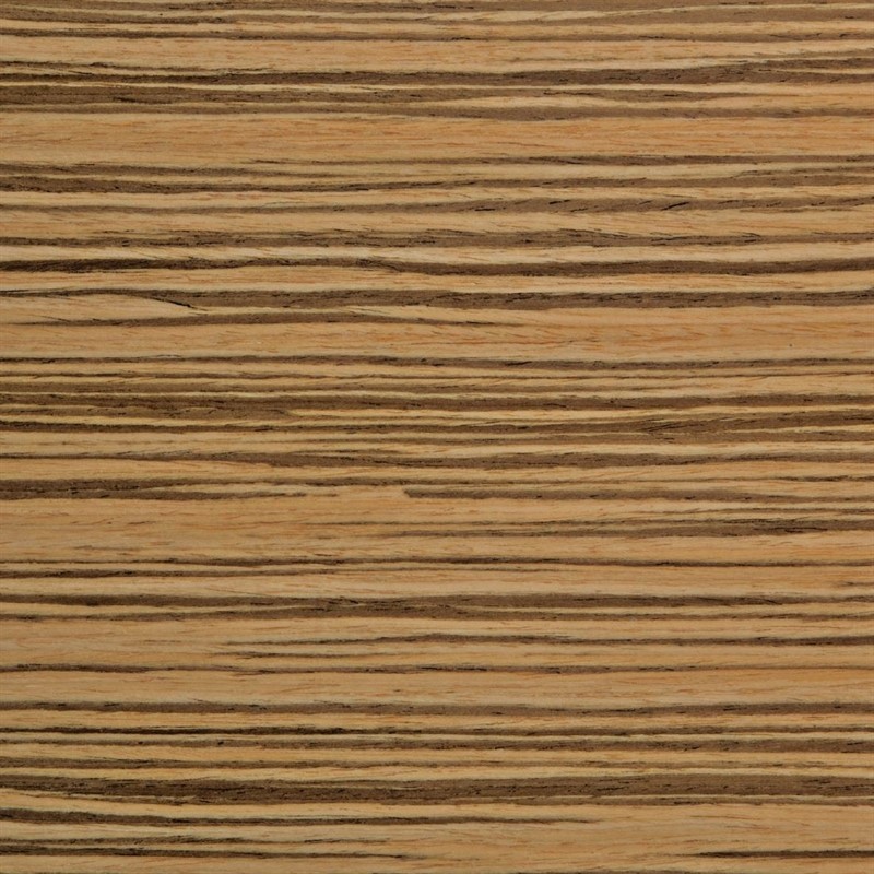  Bolero Esszimmerst&uuml;hle Buchenfurnier Zebrano 