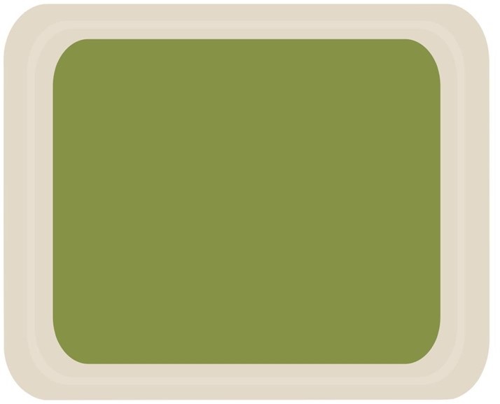  Roltex GN1/2 Serviertablett grün 42 x 32cm 